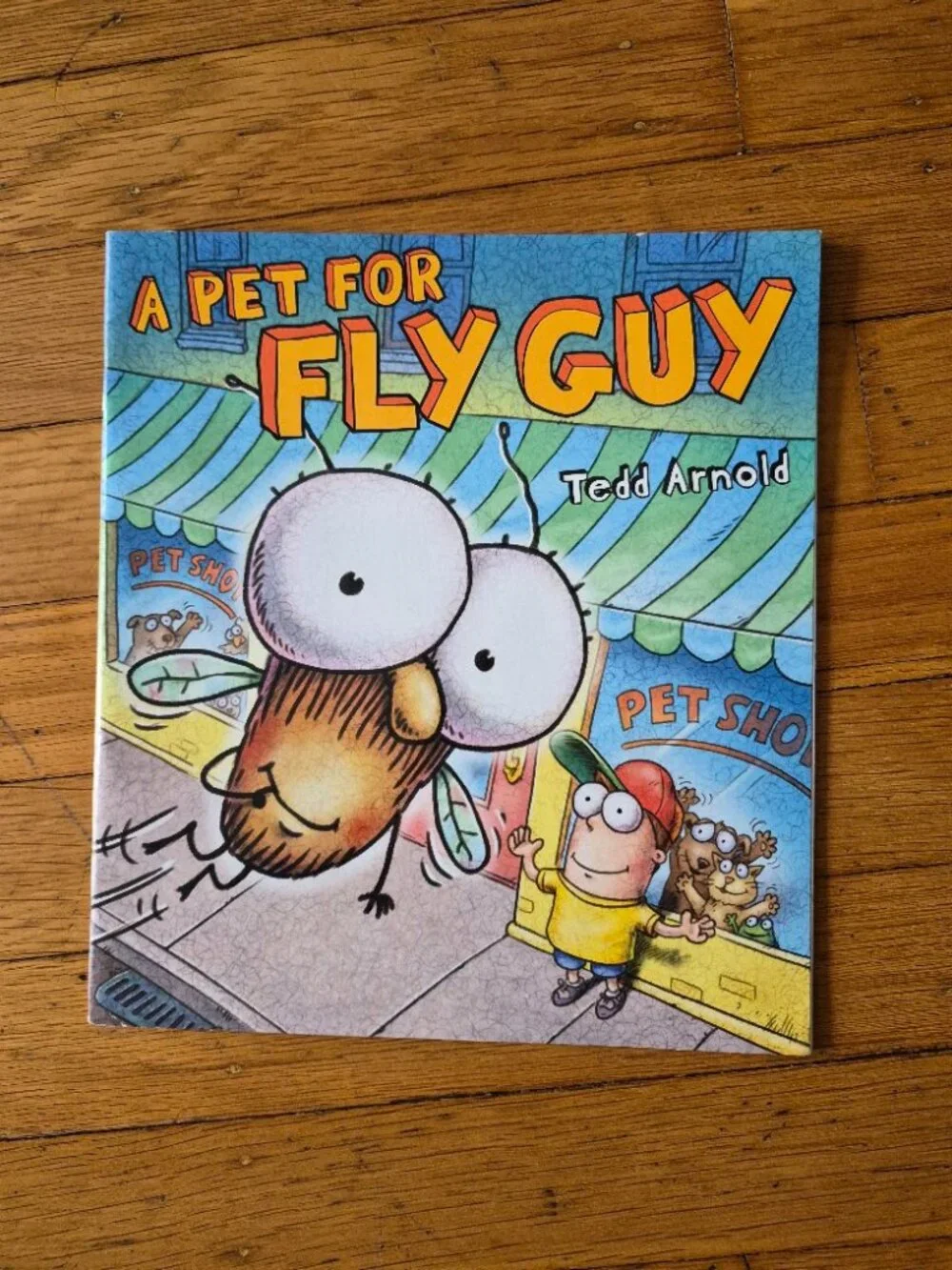 A Pet For Fly Guy